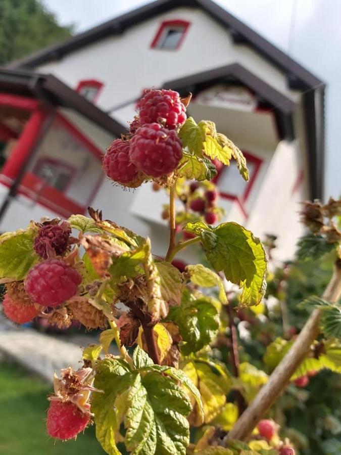 Villa Jelena Mavrovo Luaran gambar